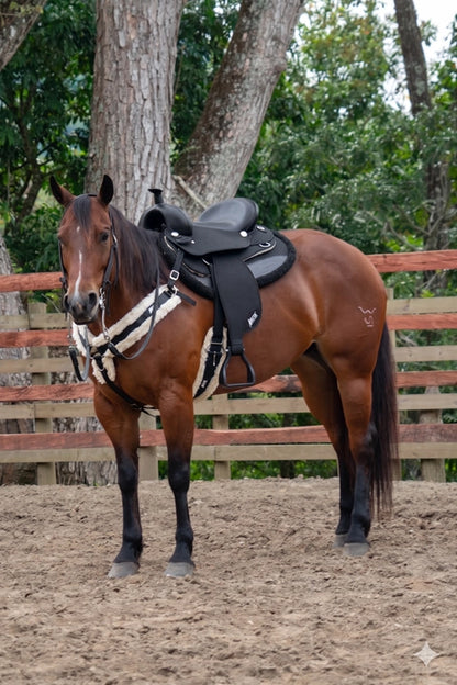 Abetta Sublime Comfort Saddle - FQH Bars - 20500