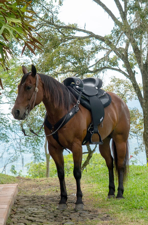 Abetta Gaited Comfort Endurance Saddle - Gaited Bars - 20573