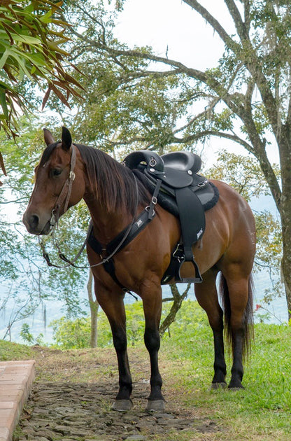 Abetta Gaited Comfort Endurance Saddle - Gaited Bars - 20573