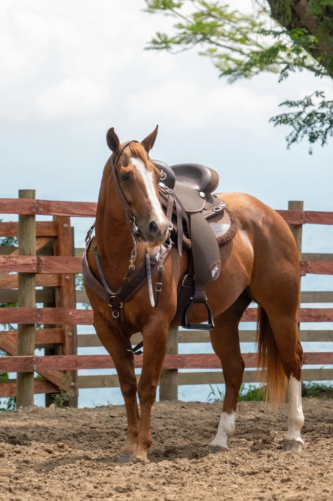 Abetta Gaited Comfort Endurance Saddle - Gaited Bars - 20573